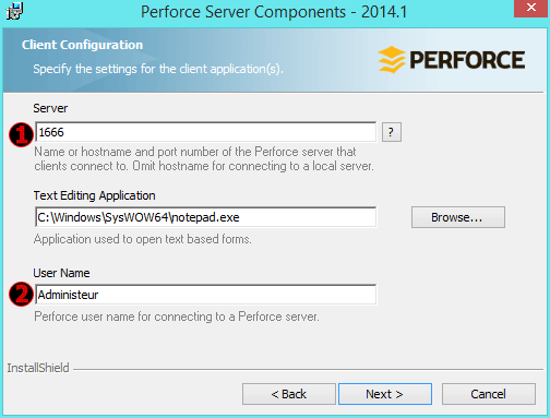 perforce-install-settings