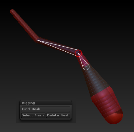 zbrush_rigging_bind_mesh